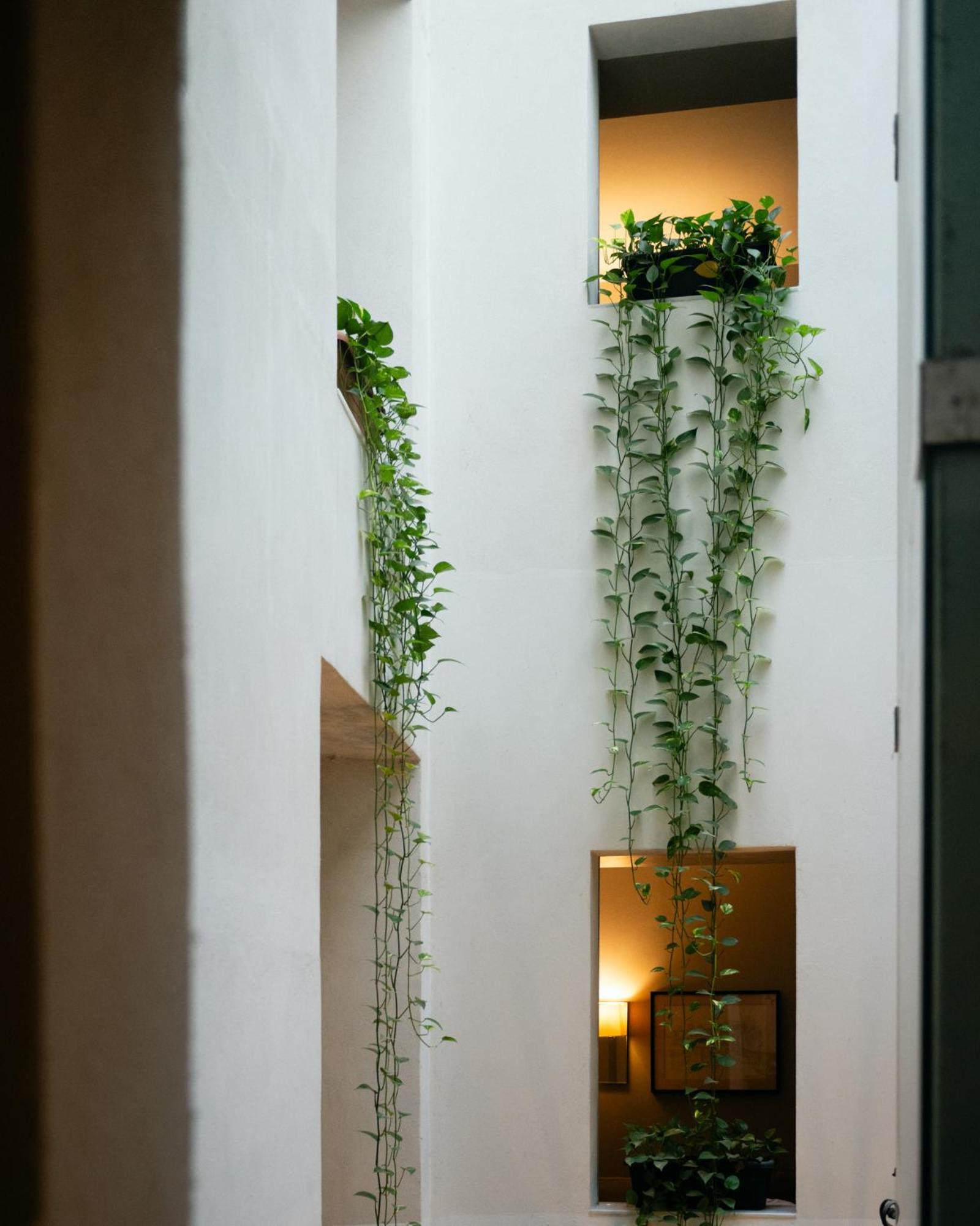 Hotel Ramblas Internacional Barcelona Eksteriør billede